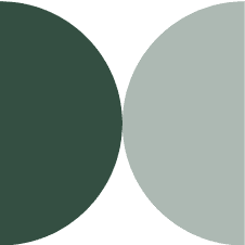Holistic SEO Approach
