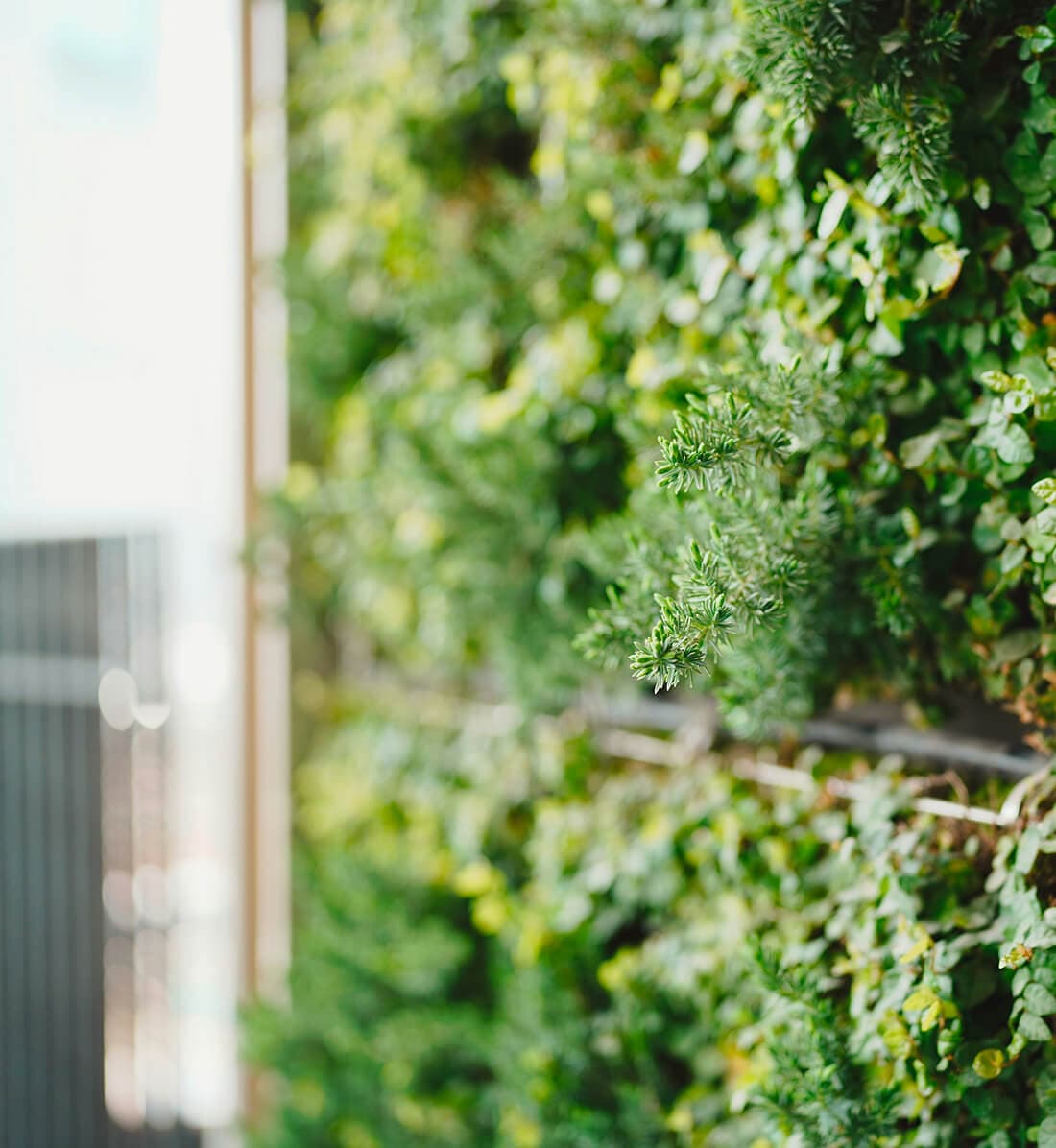 Clean Creatives: Playing Our Part the Planet